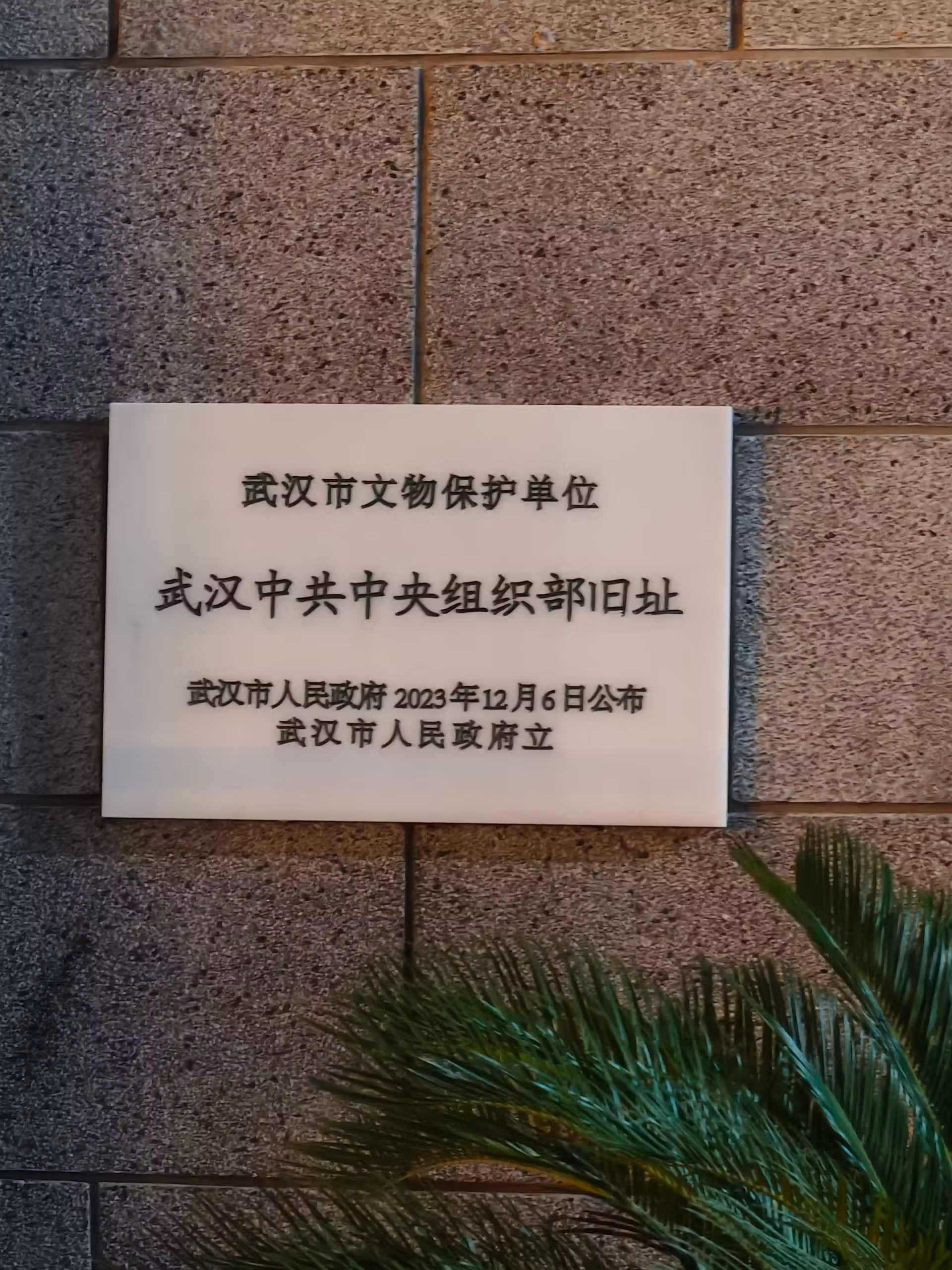 Gallery image 51